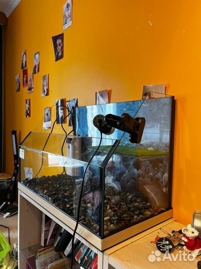 Аквариум для черепах 70л открытый новый
