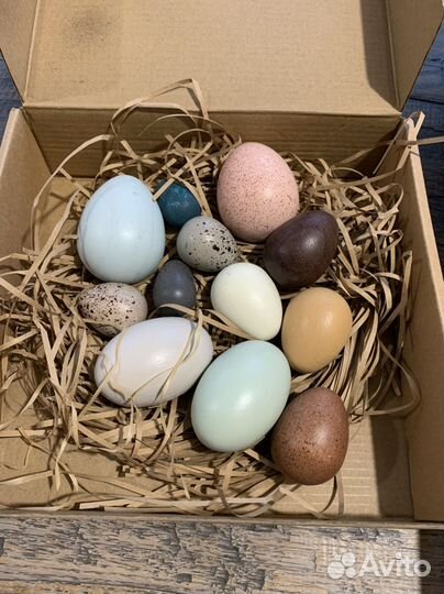 Набор деревянных яиц (12 штук )