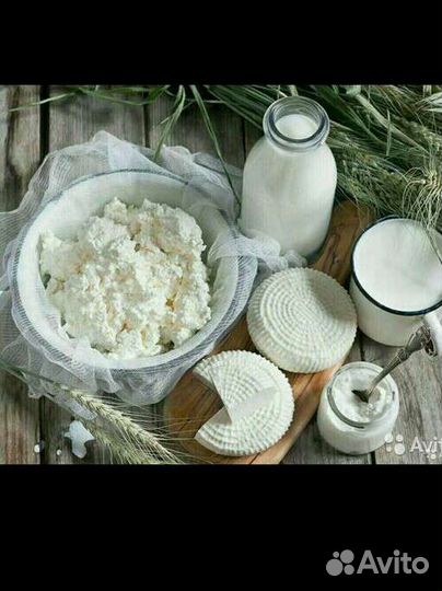 Домашняя сметана, айран, молоко, сыр, творог, сыр