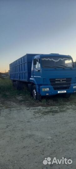 КАМАЗ 65117, 2011