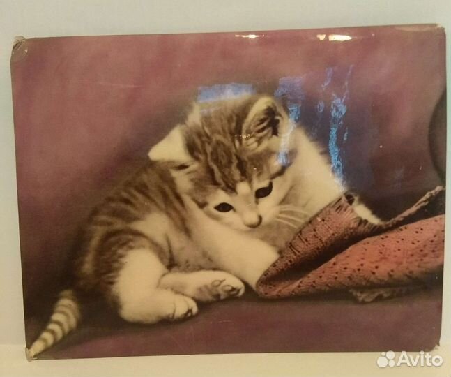 Фотокартинка СССР