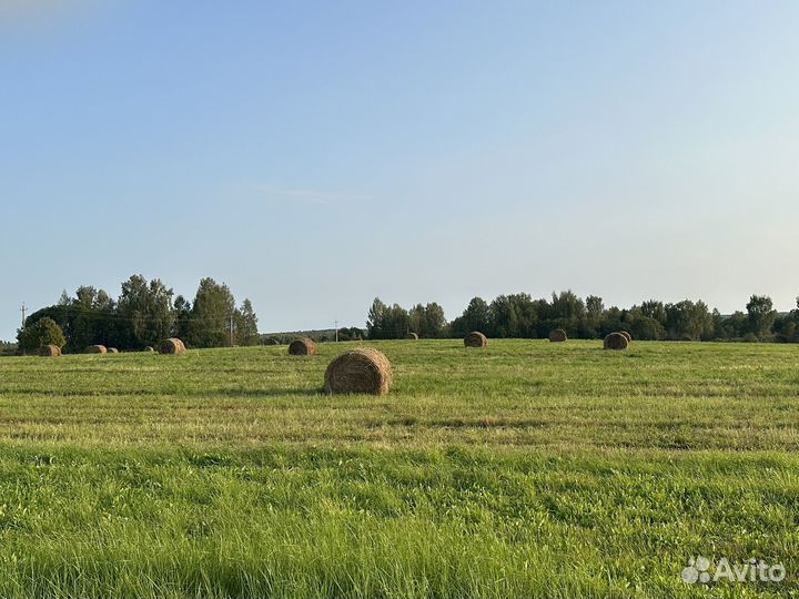 Продам сено в рулонах
