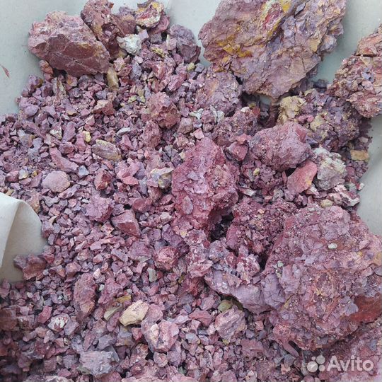 Калейдоскоп фиалка