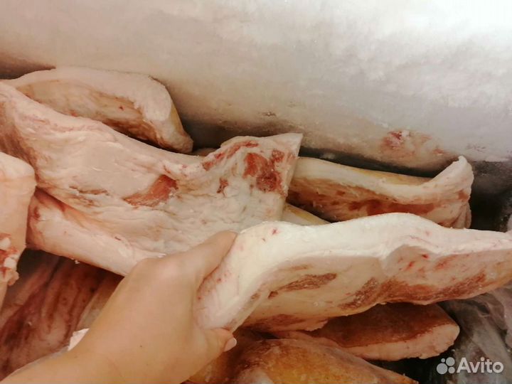 Сало