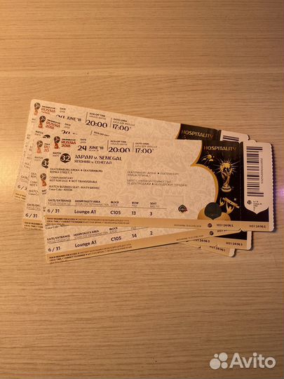 Билет на ч/м по футболу 2018