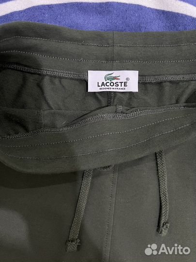 Новые шорты lacoste