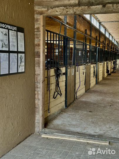 Постой лошадей