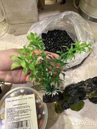 Товар для рыб