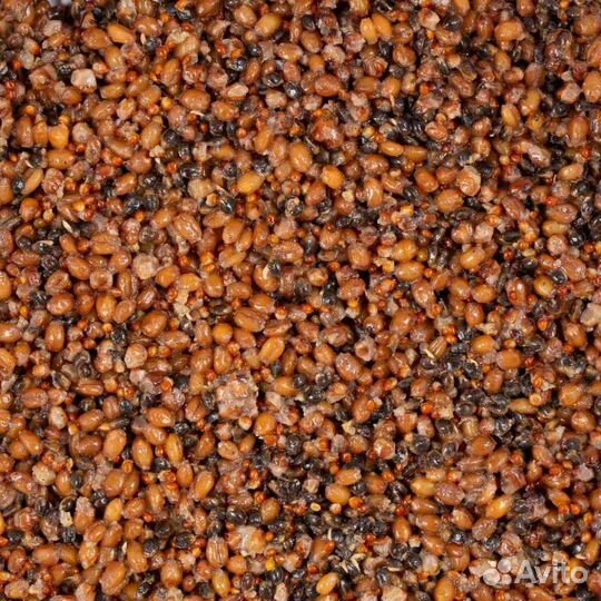 Зерновая смесь Bird food Minenko PMbaits Aroma fre