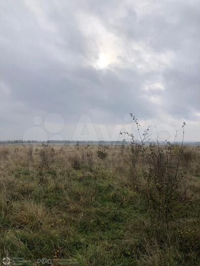 Участок 27,63 га (ИЖС)