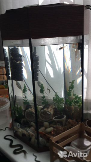 Аквариум