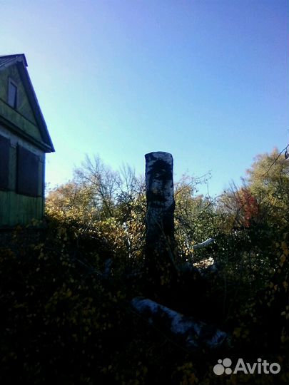 Спиливание(Спил) деревьев.Расчистка участка