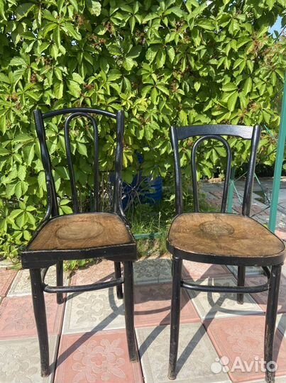Стулья венские старинные
