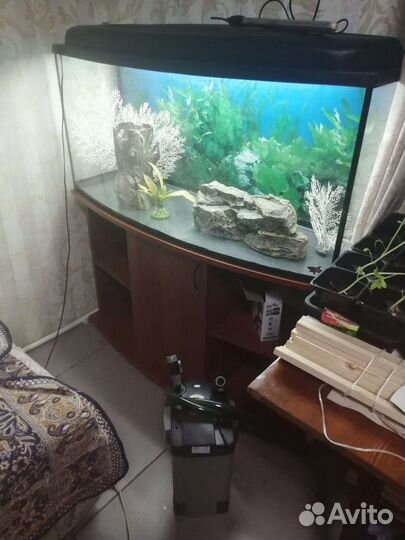Аквариум