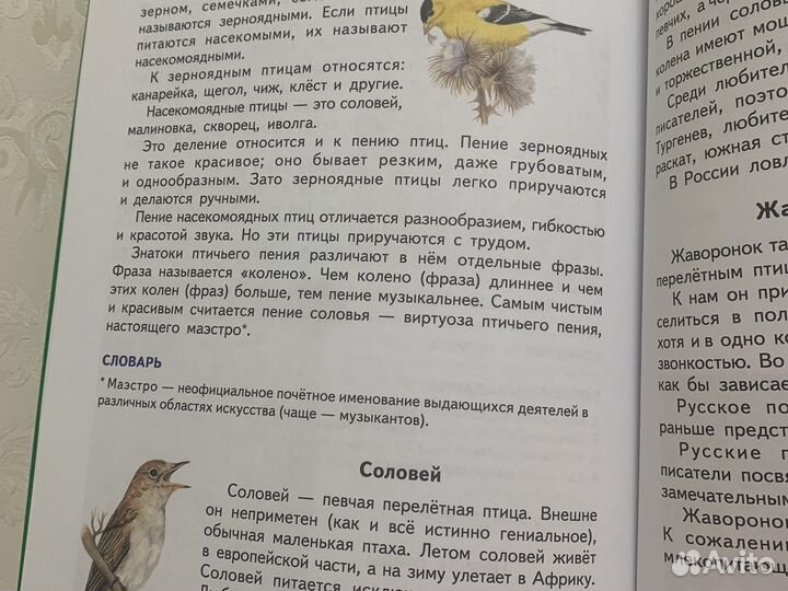 Первая книга после Букваря Жукова Н