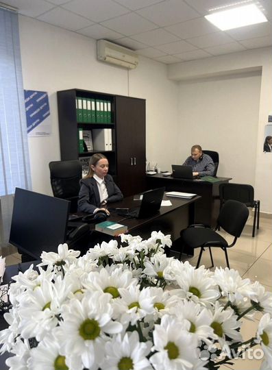 Всё хорошо прибыль в 1 месяц