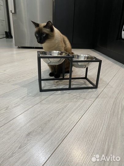 Миски для собак с подставкой