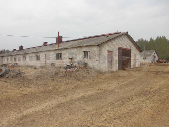 Участок 6 га (СНТ, ДНП)