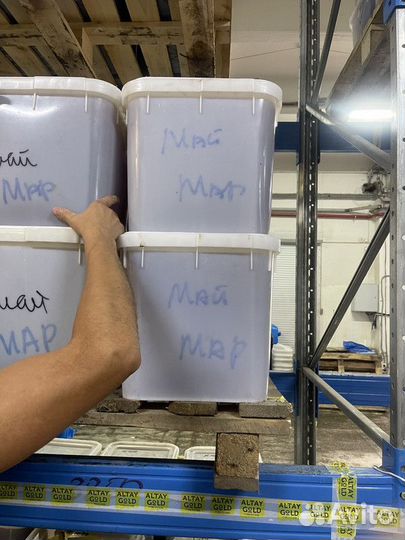 Мед оптом Майский