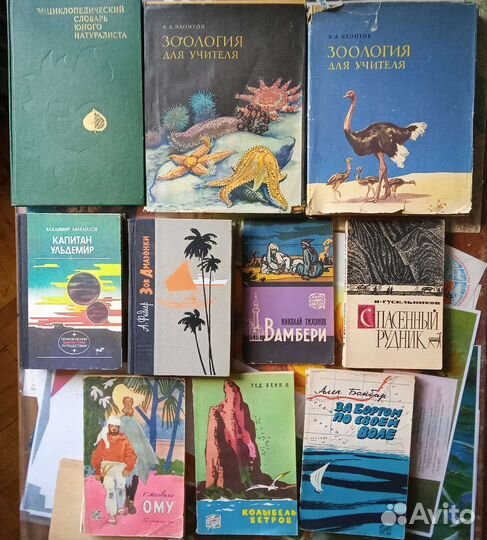 Животные Путешествия Природа Пираты Пчелы