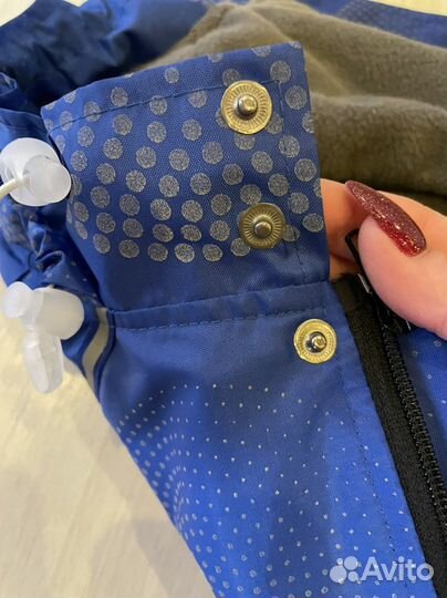 Одежда для собак