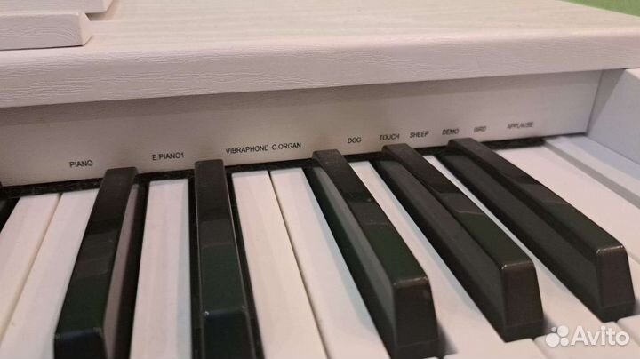 Цифровое пианино Artesia Fun-1