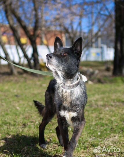 Спокойная Наоми ждёт своего человека