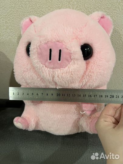 Хорошенькая свинка