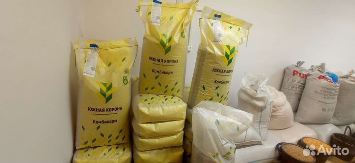 Южная корона Бройлеры