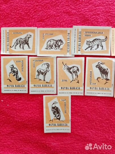 Спичечные этикетки. Фауна Кавказа