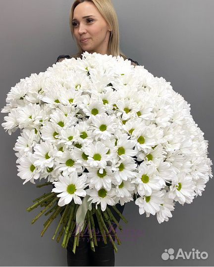 Хризантема кустовая с доставкой