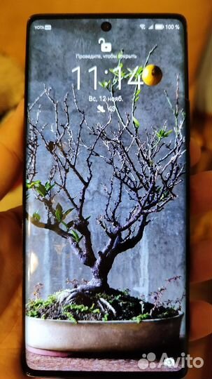 HUAWEI nova 10, 8/128 ГБ