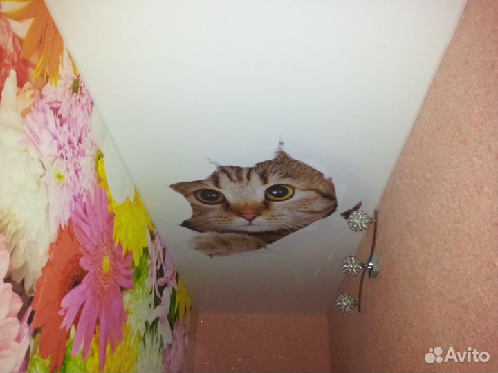 Натяжные потолки