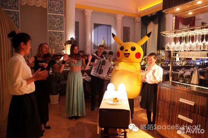 Скрипачка Скрипка