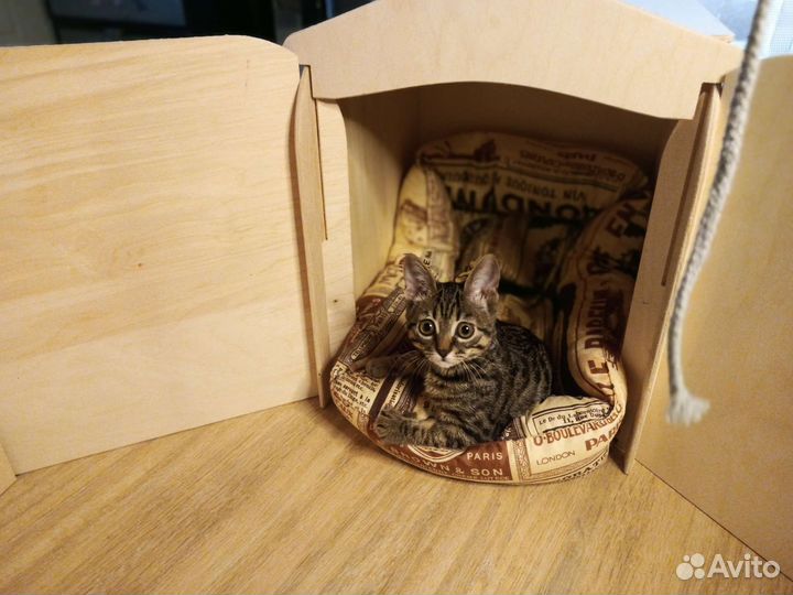 Вольер для кошек