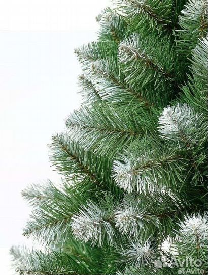 Ёлки новогодние