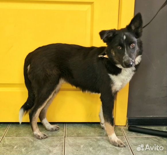 Отдадим малышку в заботливые руки