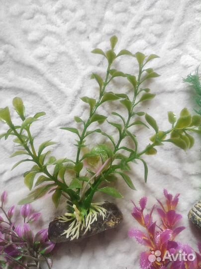 Растения для аквариума искусственные