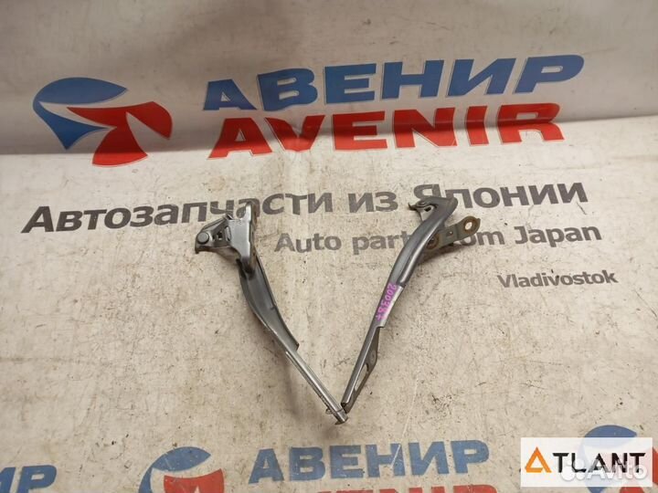 Петля капота honda insight