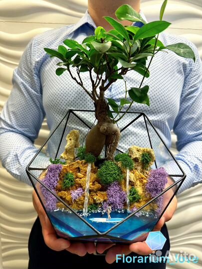 Флорариумы и моссариумы