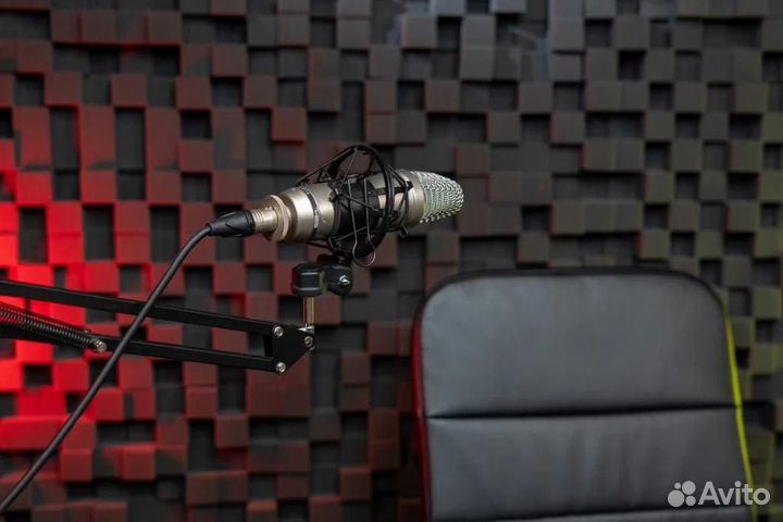 Студия видеозаписи