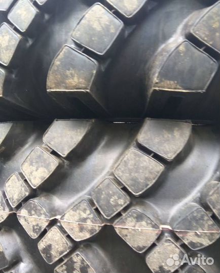 Шины 370/508 Ои 25