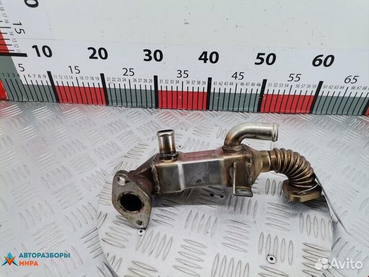 Охладитель EGR / Радиатор EGR Volkswagen Lupo 6X