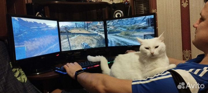 Передержка животных