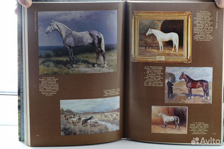 Коневодство и конезаводство в России книга