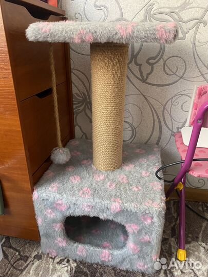 Когтеточка