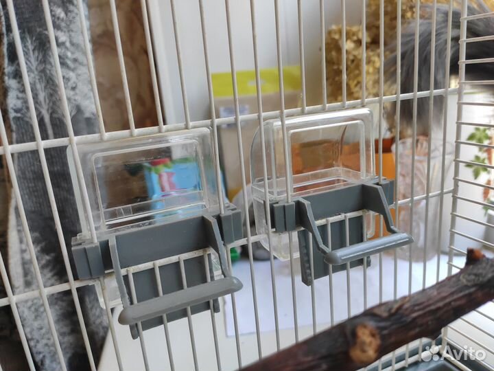 Клетка для птиц