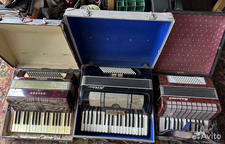 Аккардеоны