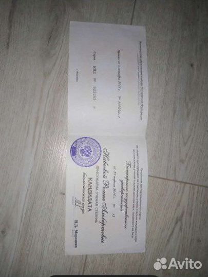 Репетитор по биологии Подготовка К егэ И огэ