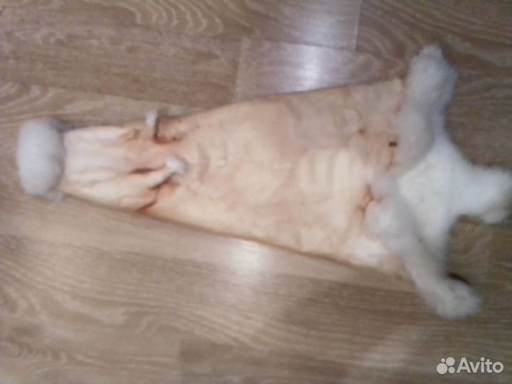 Шкурки кролика